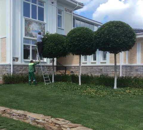 Наши работы