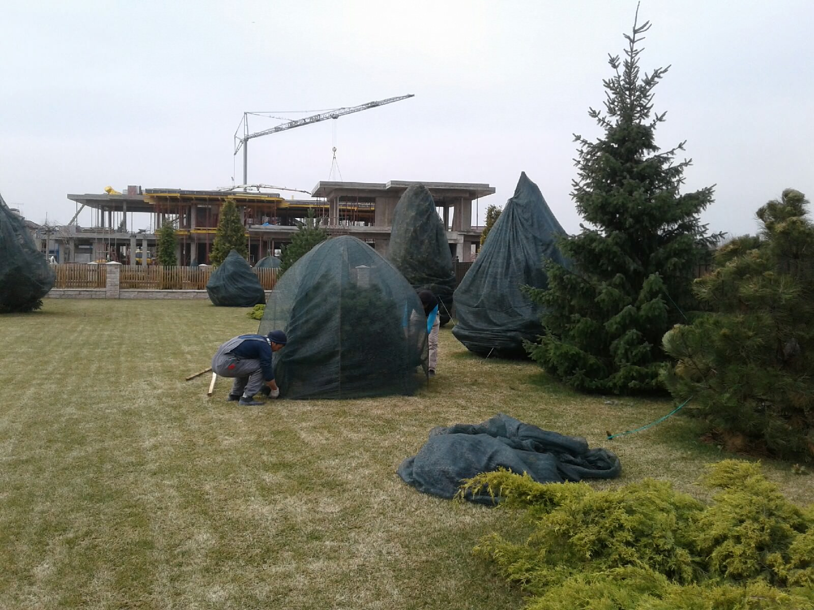 Наши работы