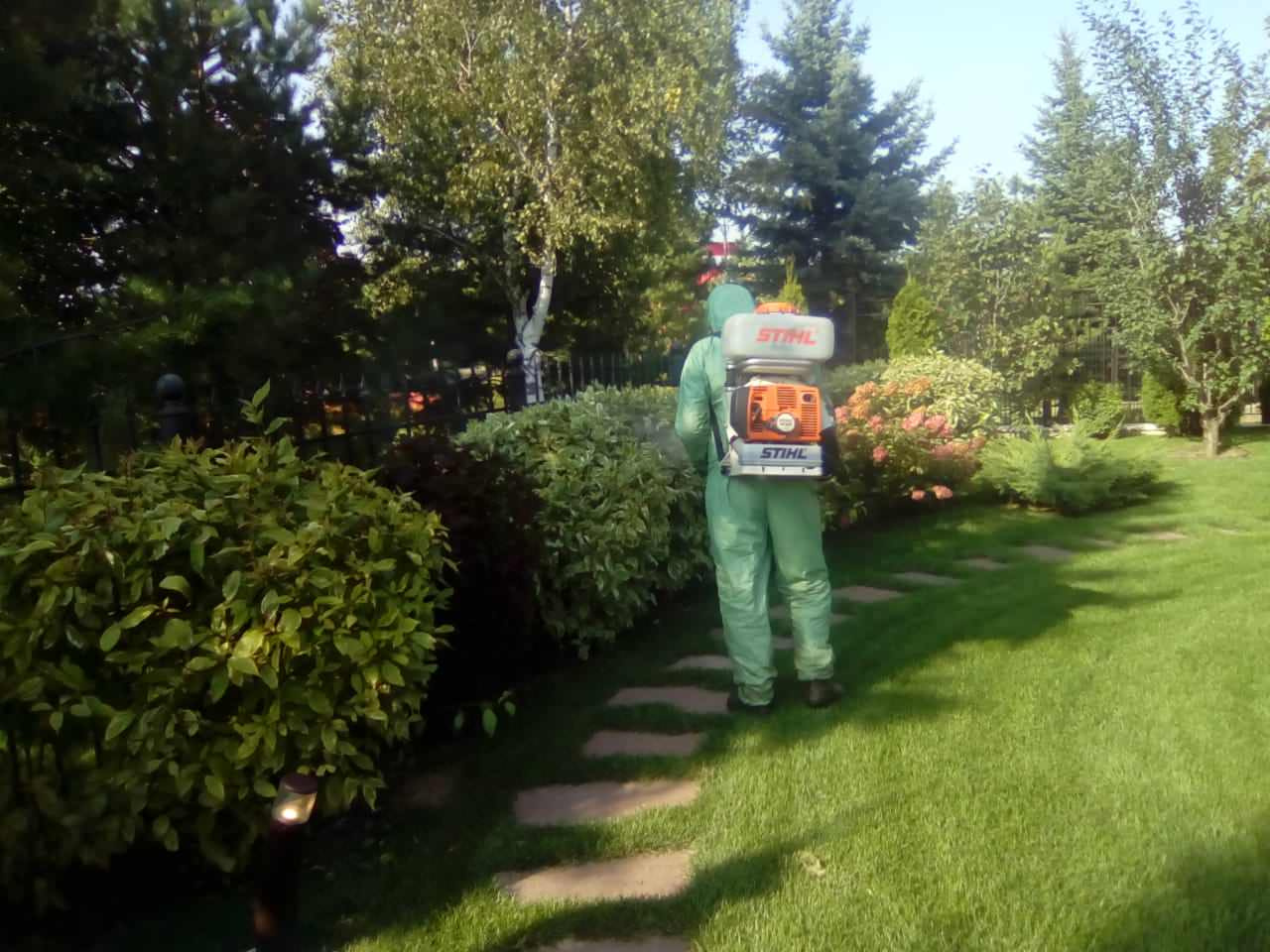 Наши работы