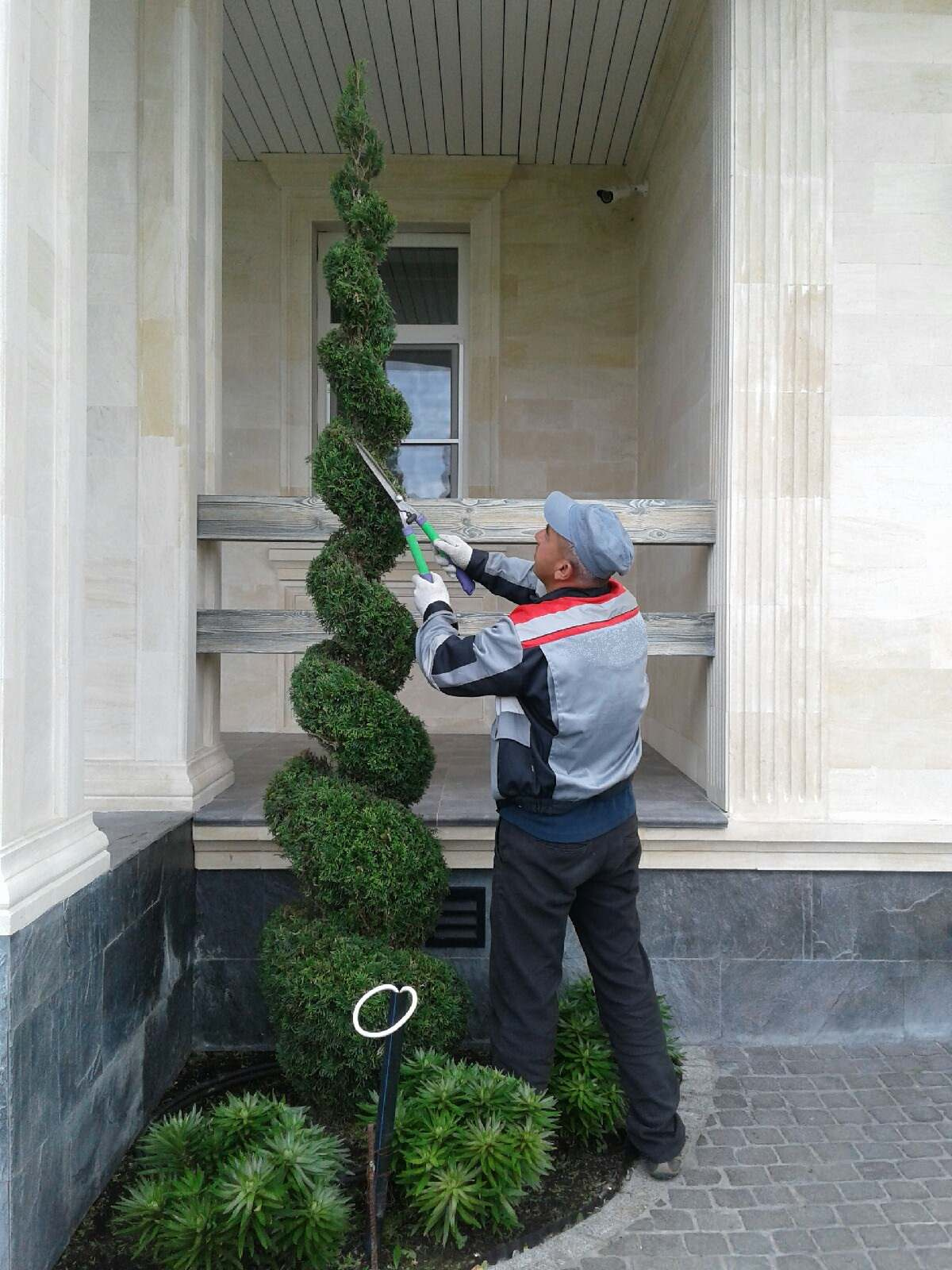 Наши работы