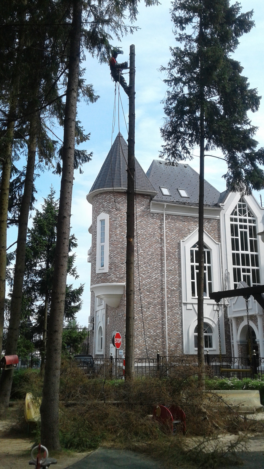 Наши работы