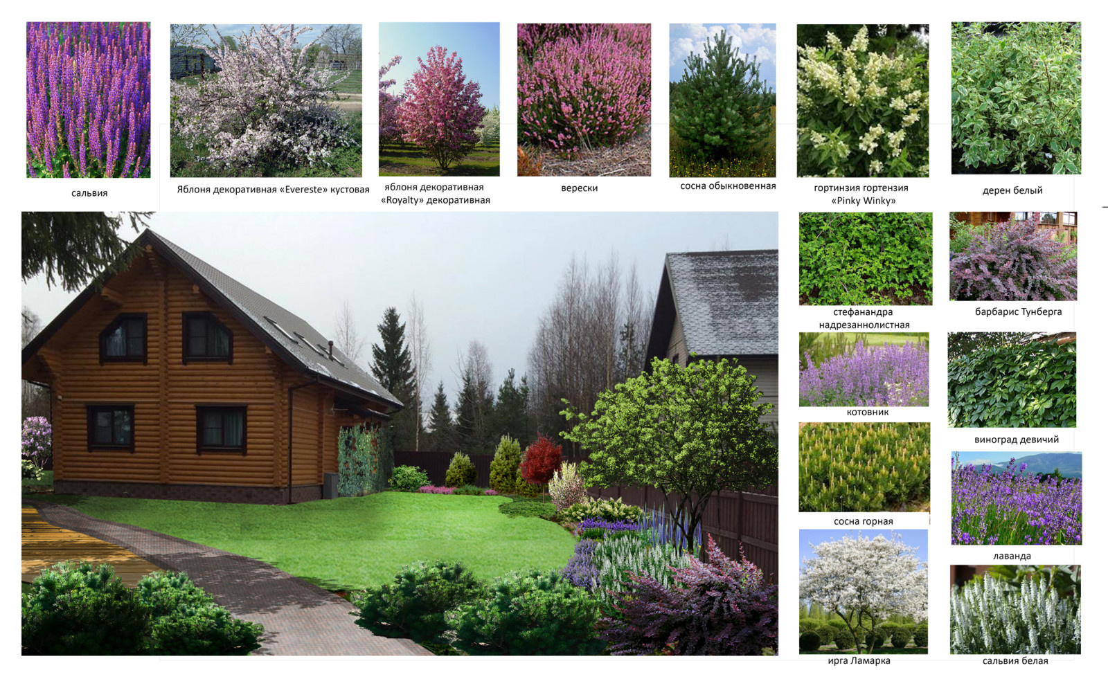 Белоостров