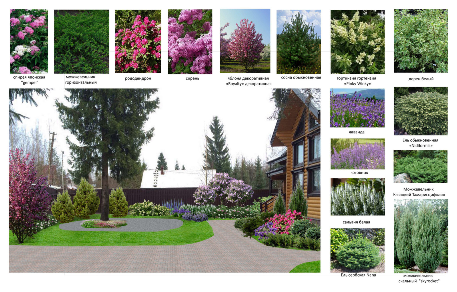 Белоостров