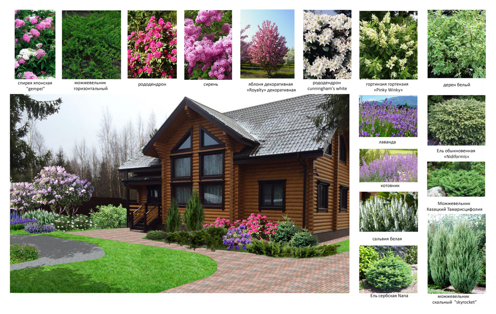 Белоостров