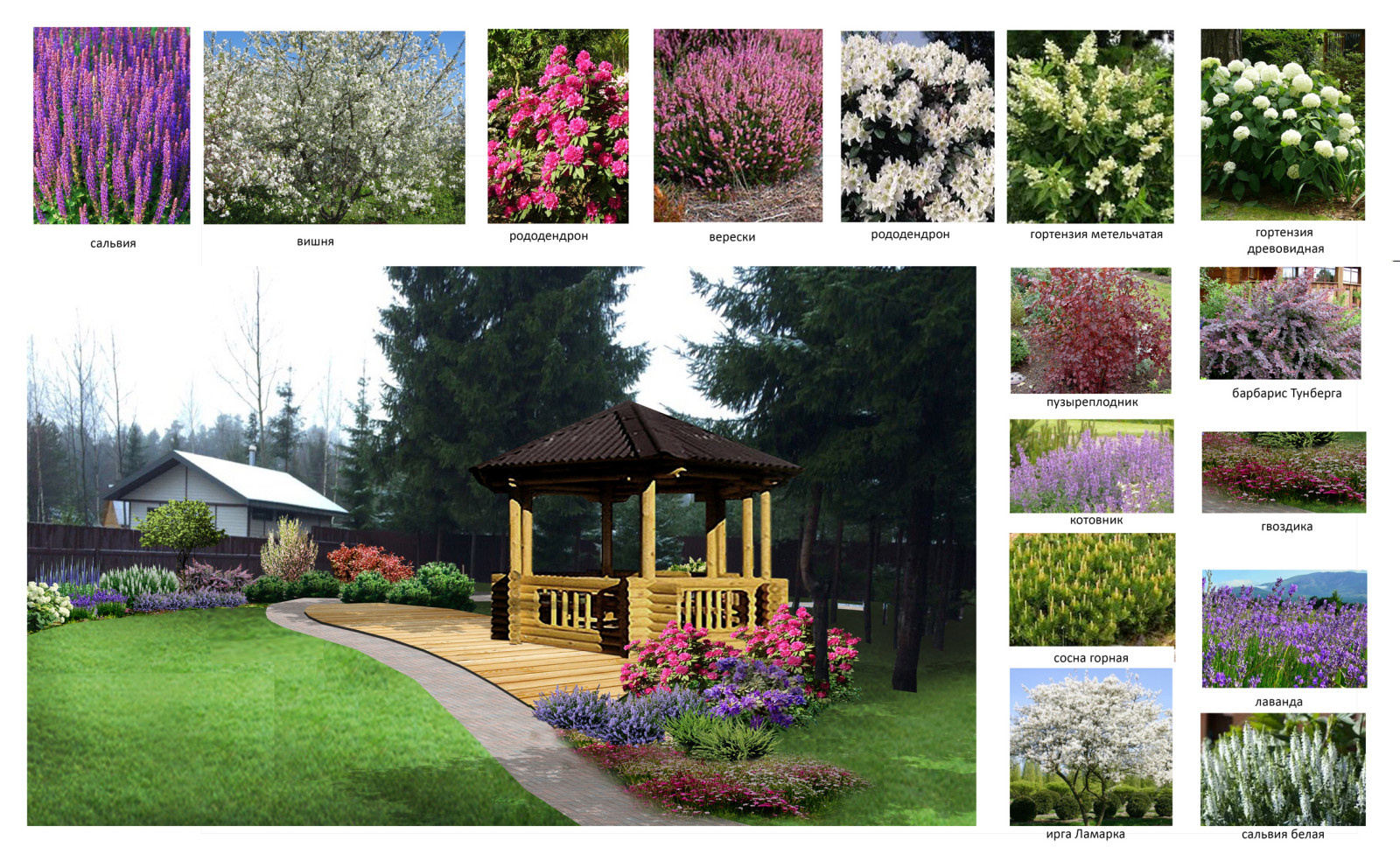 Белоостров