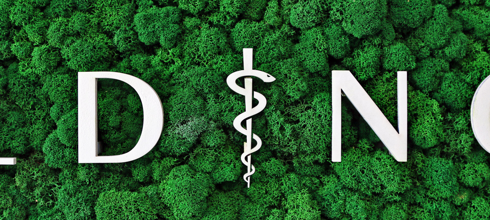 Интерьер входной группы салона красоты SW HOLDING в Эко-стиле