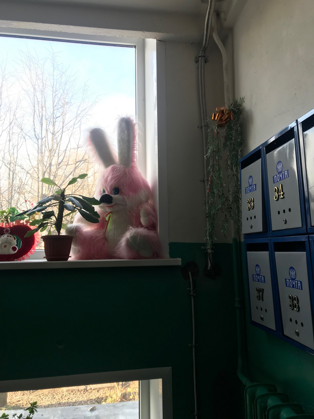 Капитальный ремонт (многоквартирные дома)