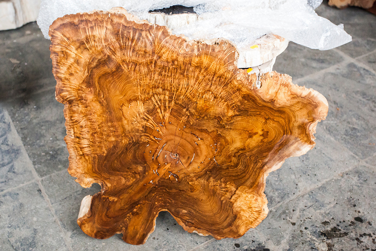 Слэбы(спилы и срезы )из массива  РеликтЭкспо