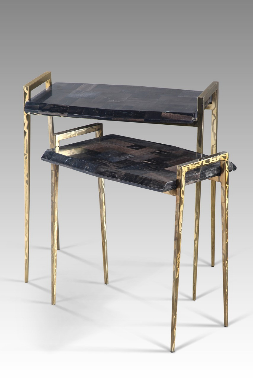 Мебель,декор из окаменелого дерева