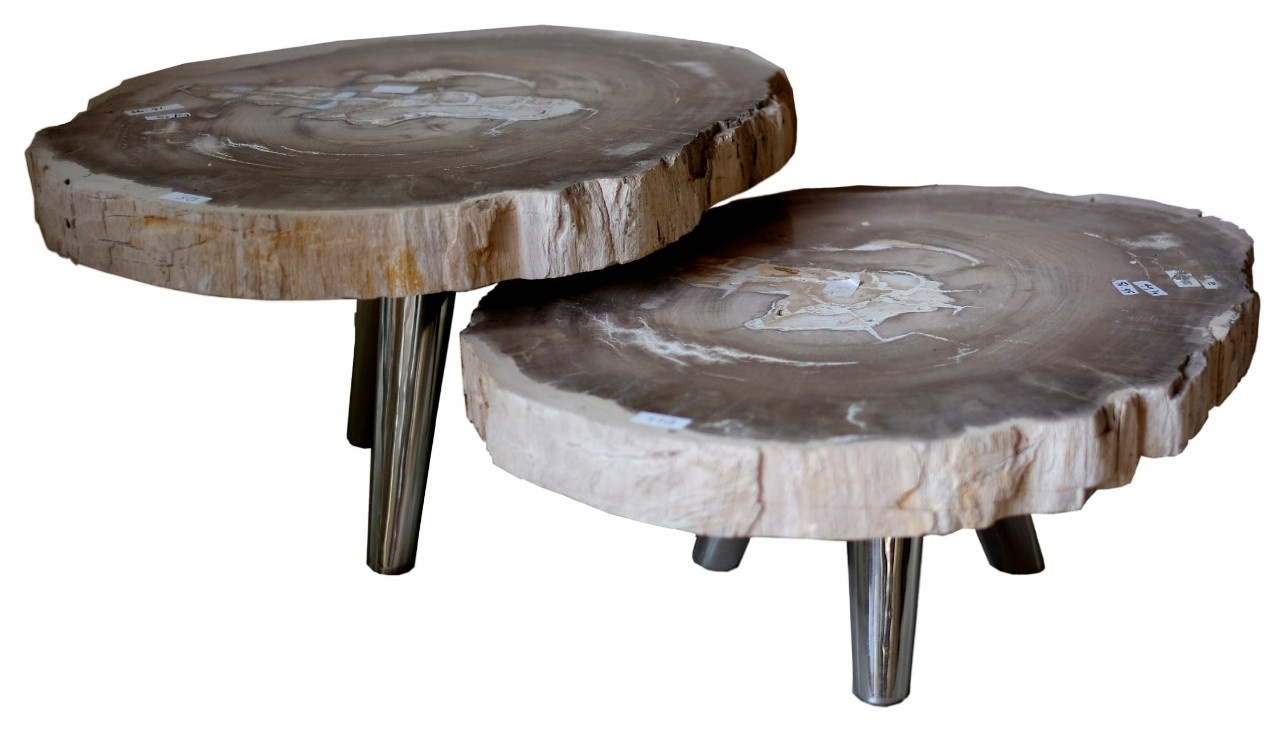 Мебель,декор из окаменелого дерева