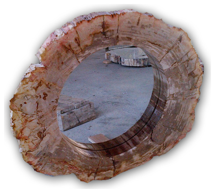 Мебель,декор из окаменелого дерева