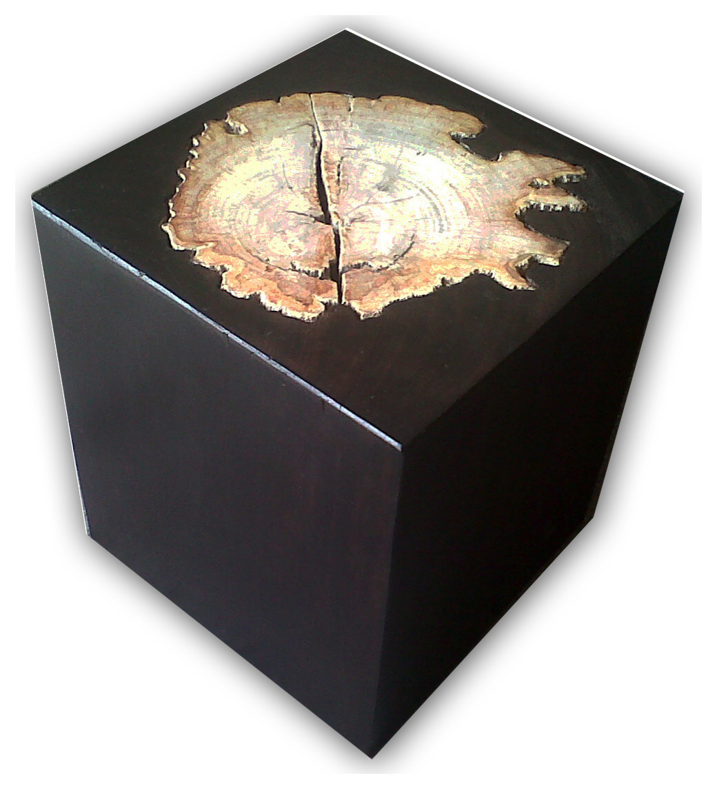 Мебель,декор из окаменелого дерева