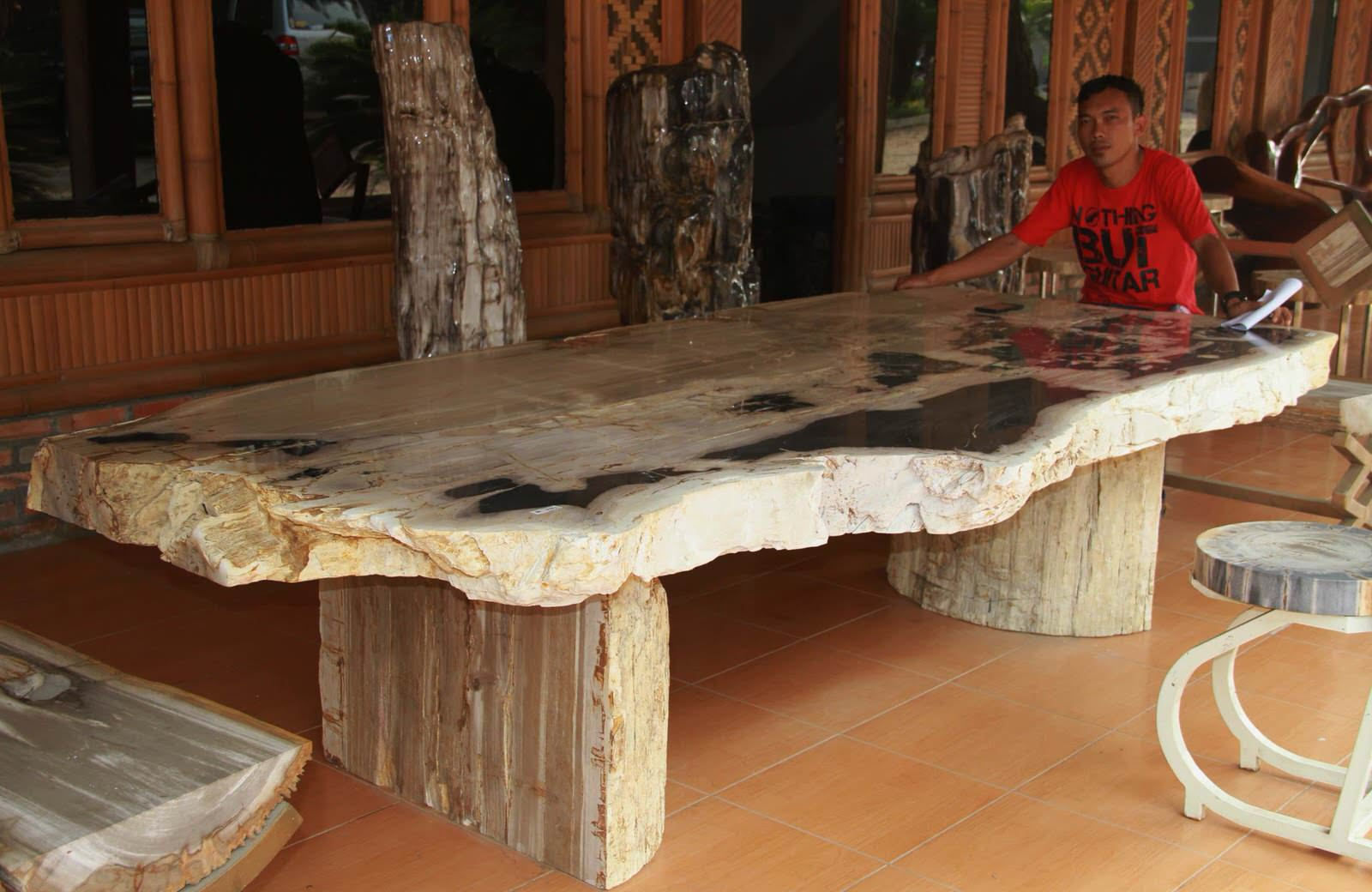 Мебель,декор из окаменелого дерева