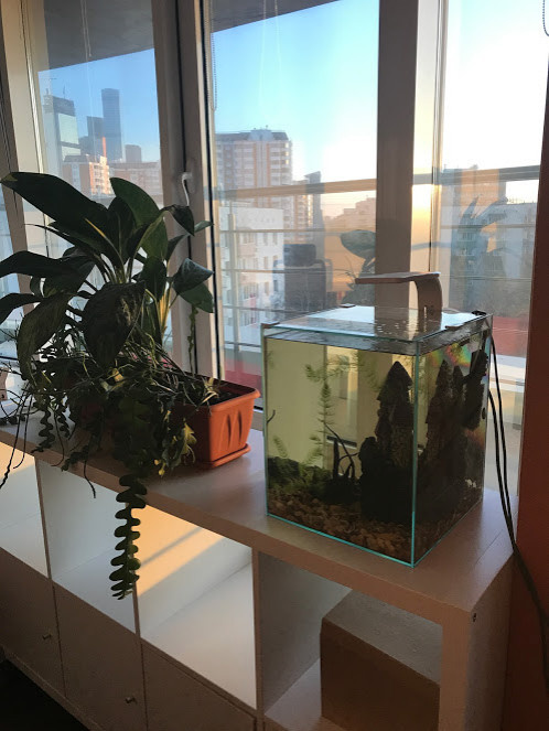 Офис рекламного агентства