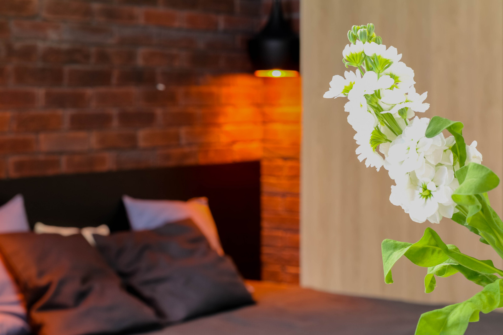 Квартира для молодой студентки. Спальня.