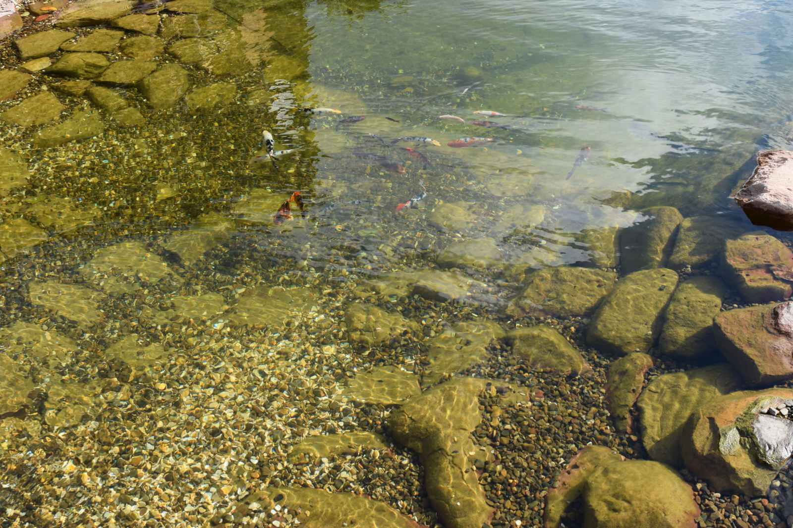 Водоём на участке