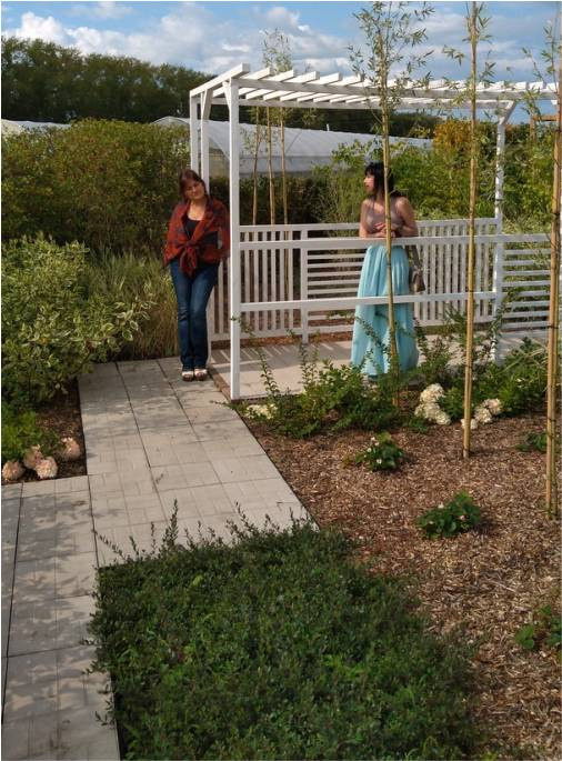 Экспозиция сада "Живая геометрия"