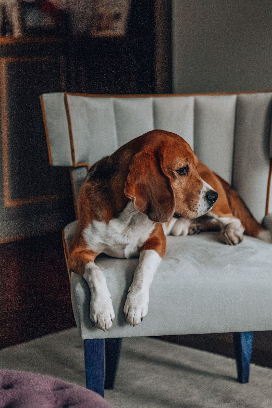 СПб Тверская