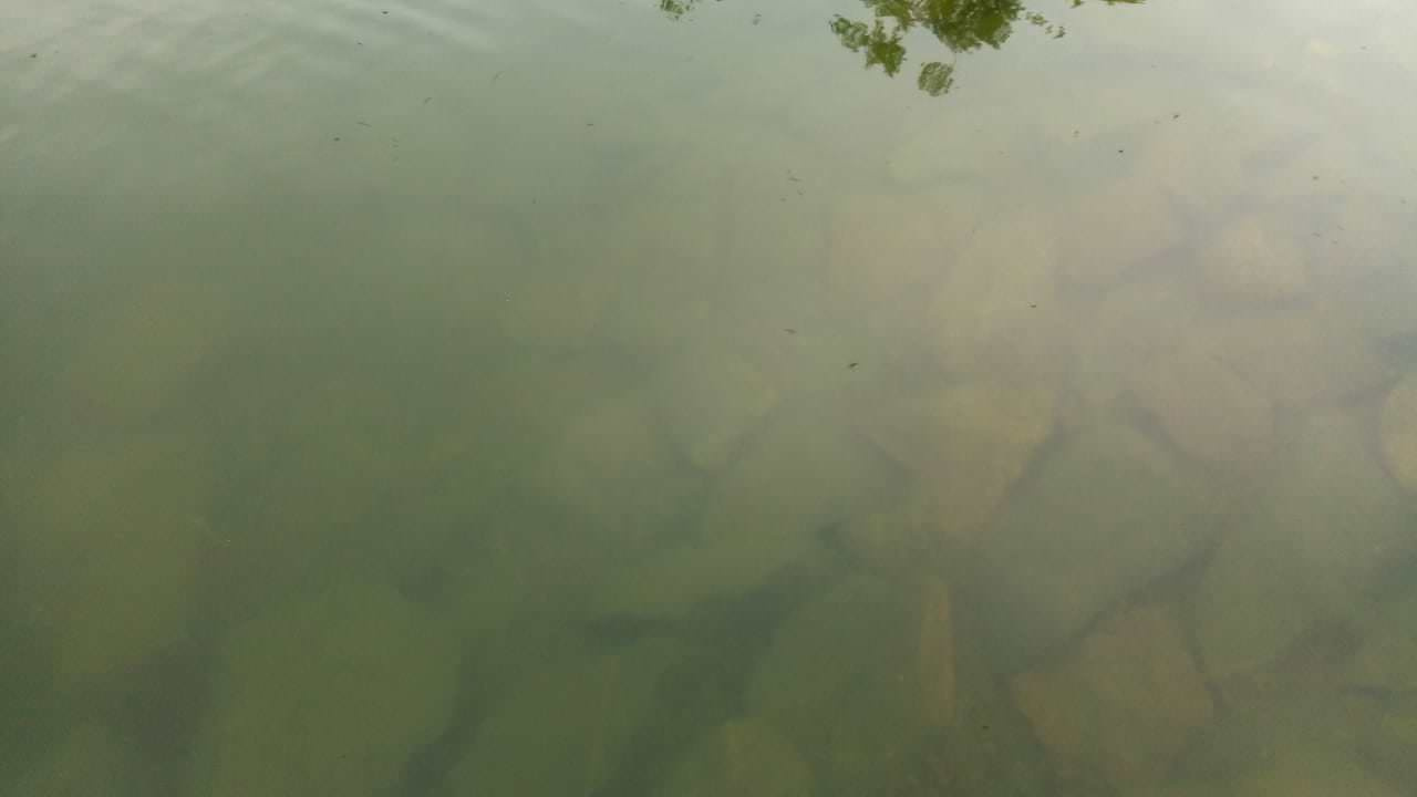 Плавательный водоём в п. Ручьи (Лен. обл.)