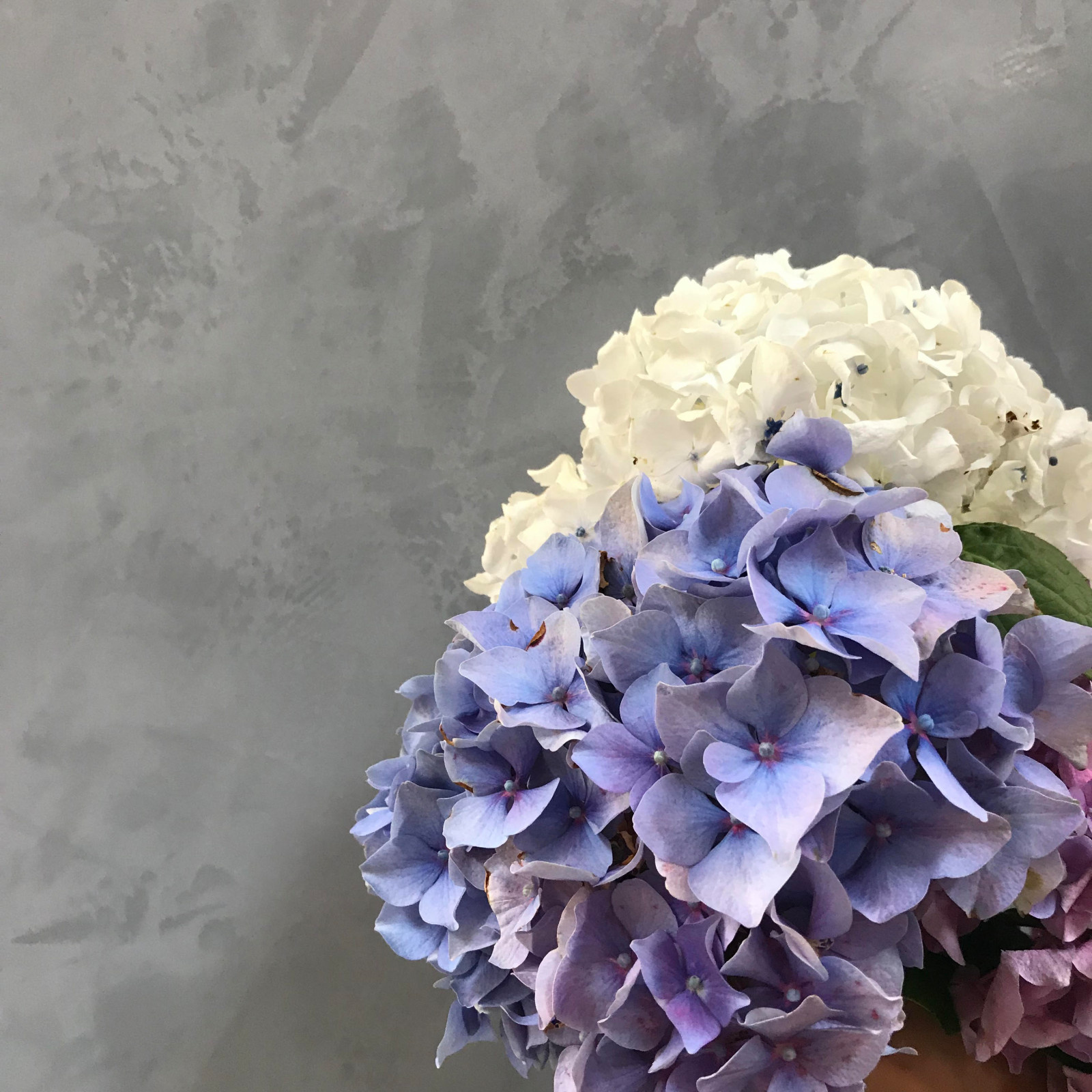 Showroom & Texture