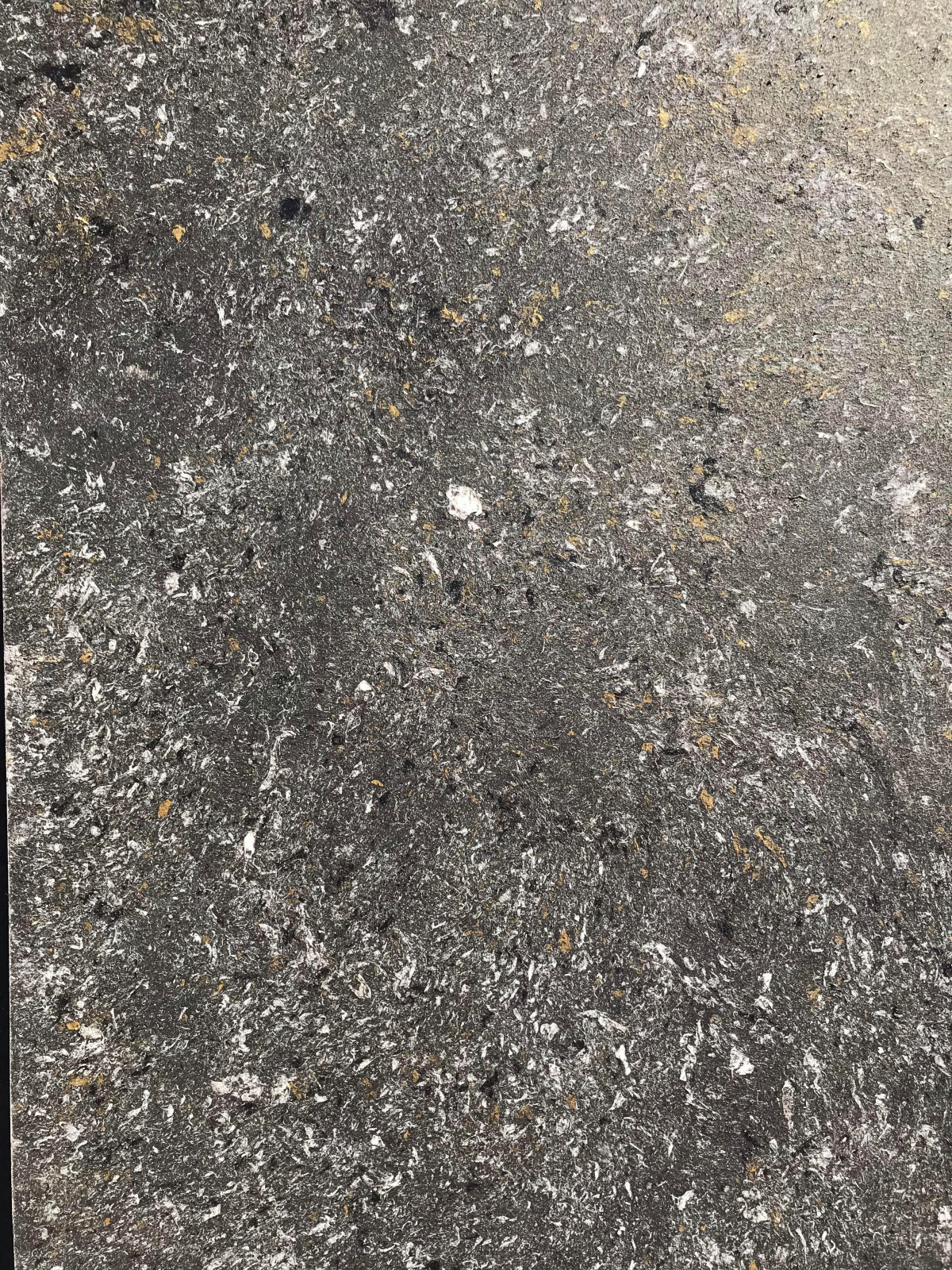 Showroom & Texture
