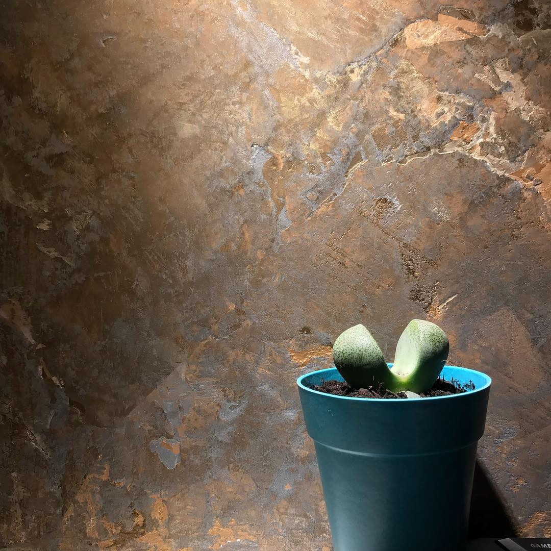 Showroom & Texture