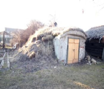 Под знаком тельца