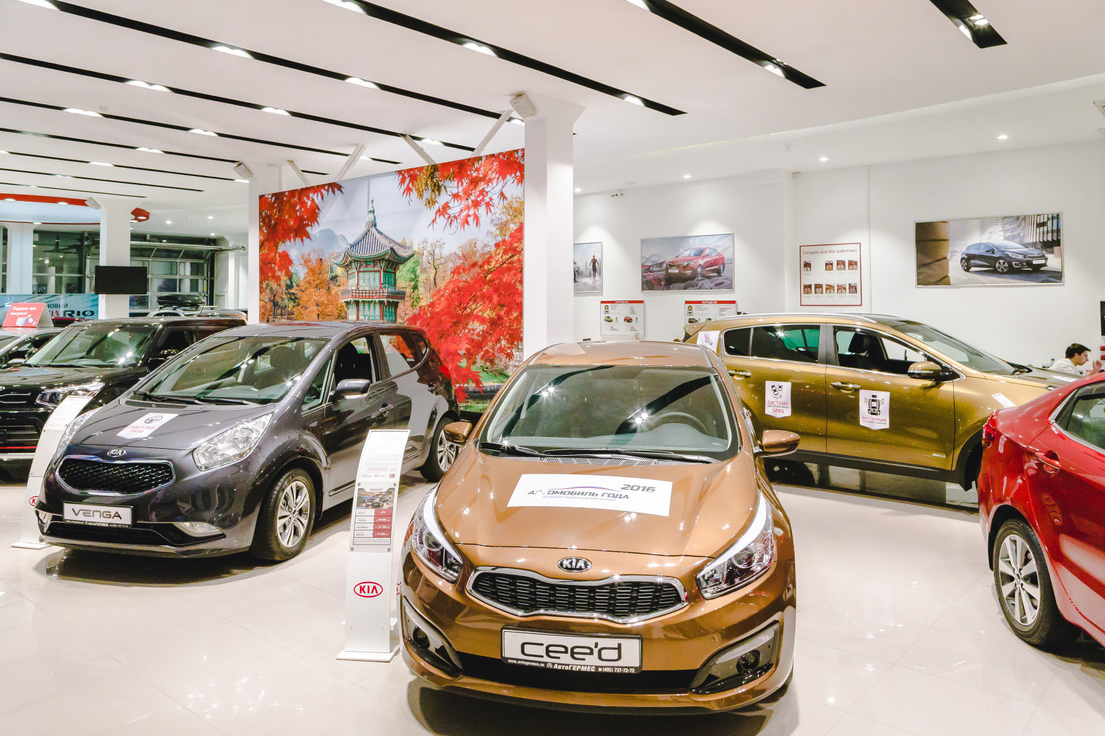 Автосалон KIA