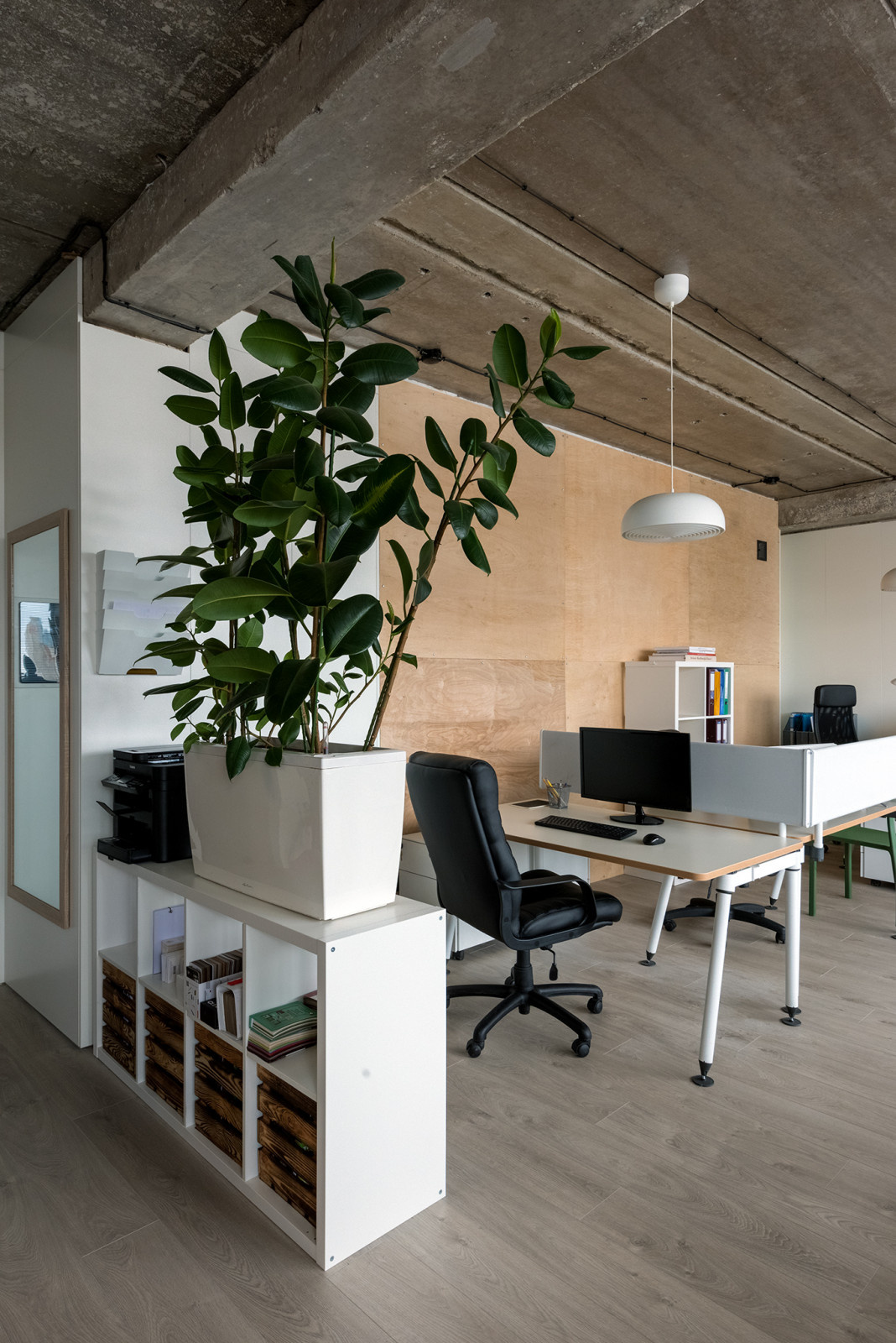 Офис мечты - светлое помещение без внутренних перегородок