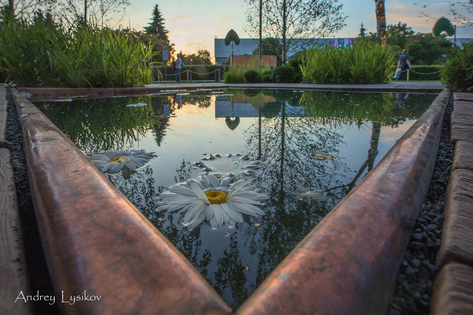 Moscow Flower Show 2019