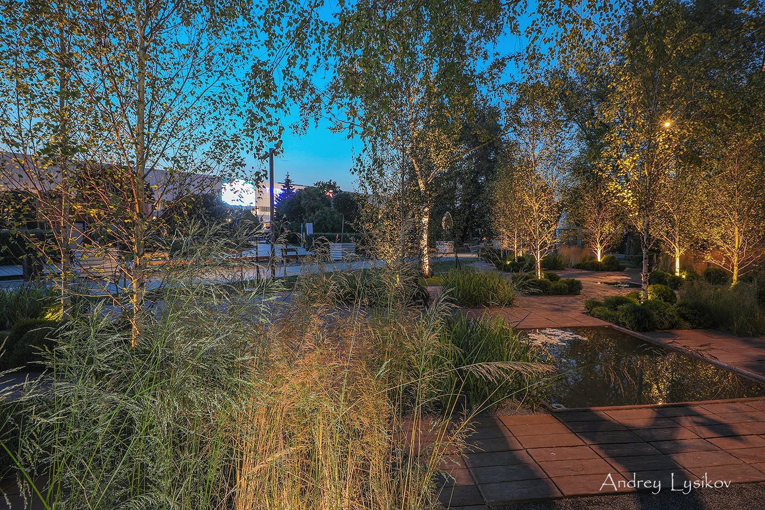 Moscow Flower Show 2019