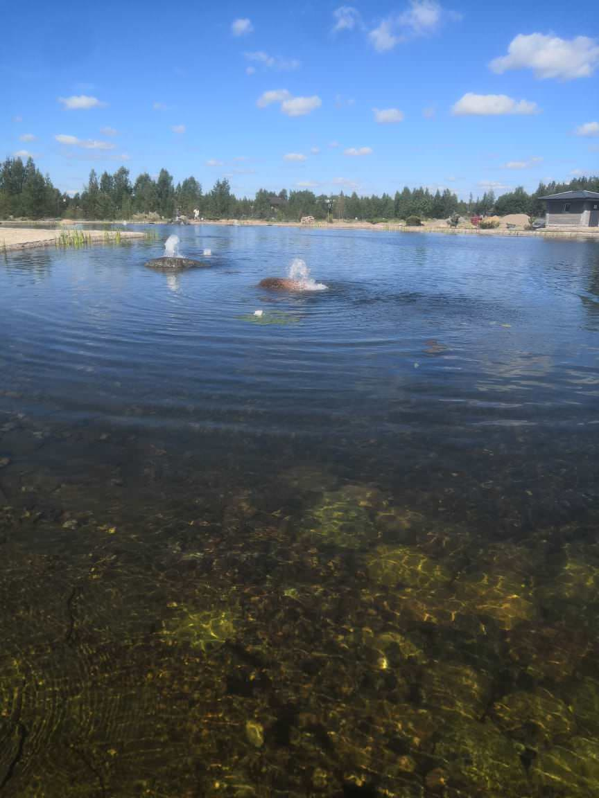 Декоративный водоём в п. Репино (Лен. обл.)