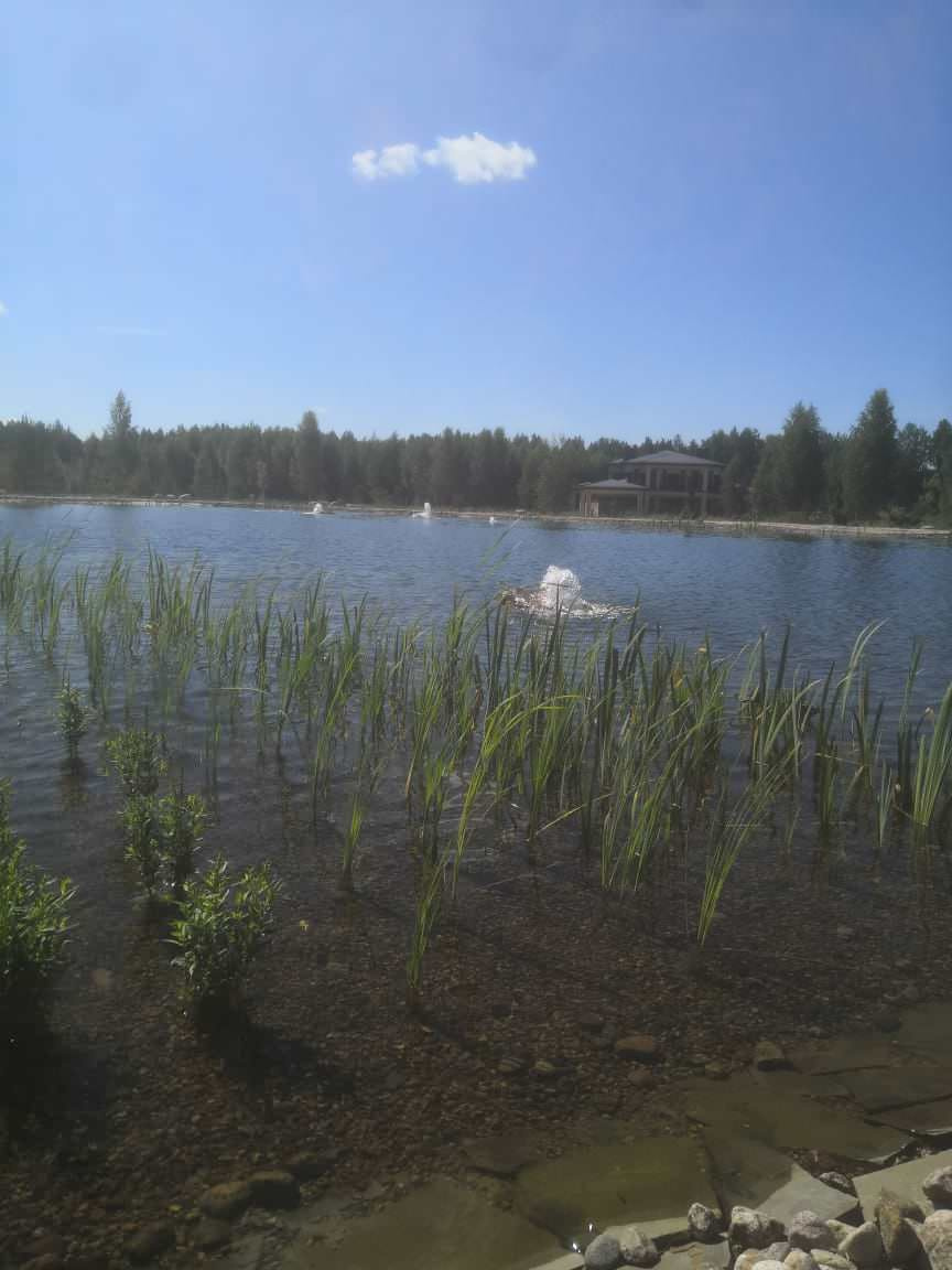 Декоративный водоём в п. Репино (Лен. обл.)