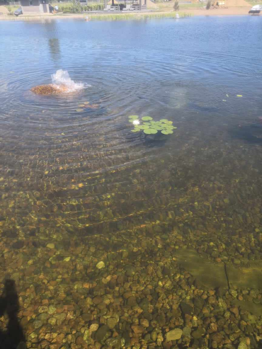 Декоративный водоём в п. Репино (Лен. обл.)