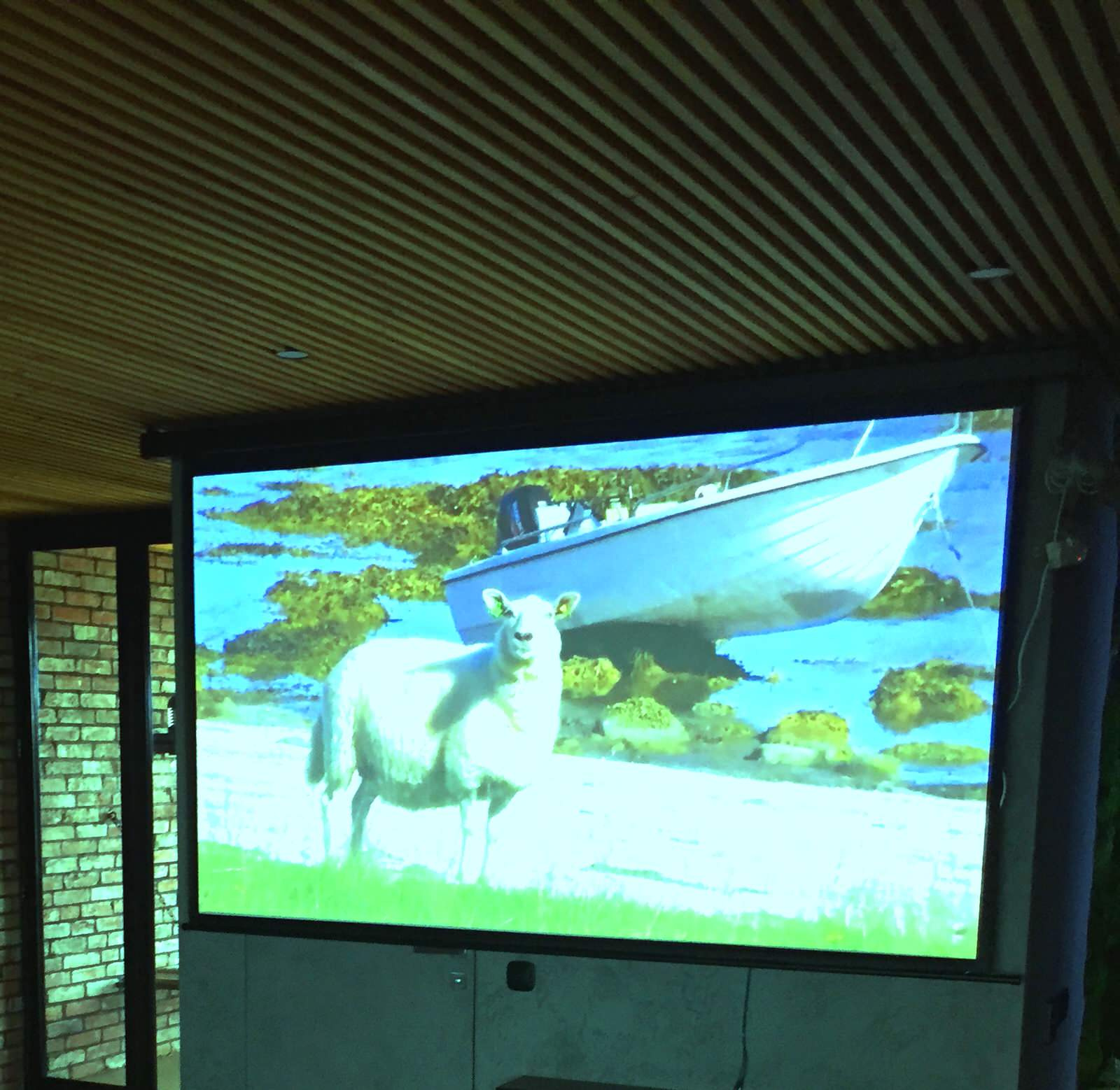 Домашний кинотеатр, Краснодар