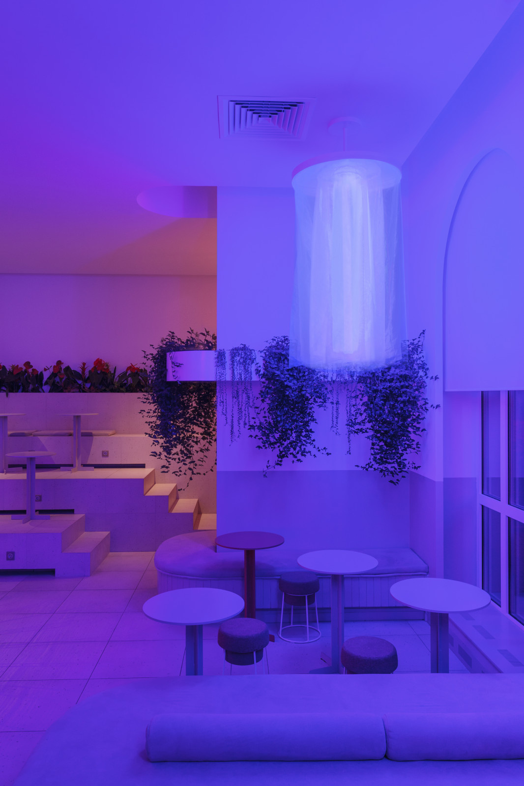 •ZANOZA• open bar .Вечерний световой сценарий.
