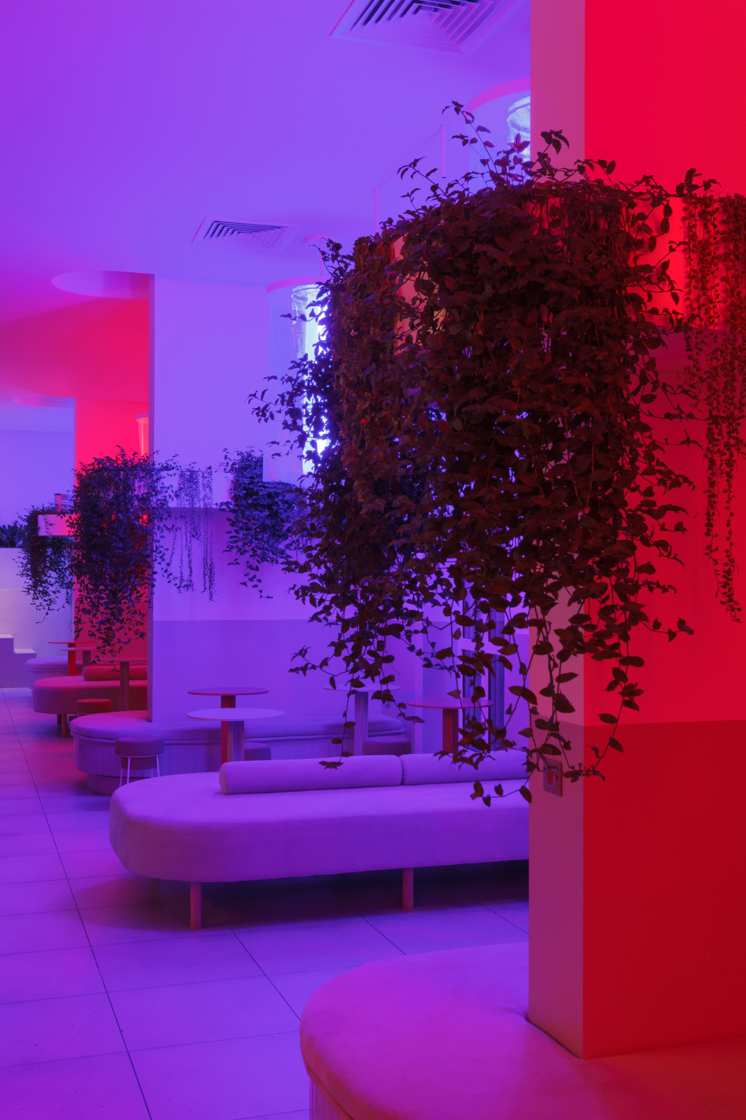 •ZANOZA• open bar .Вечерний световой сценарий.