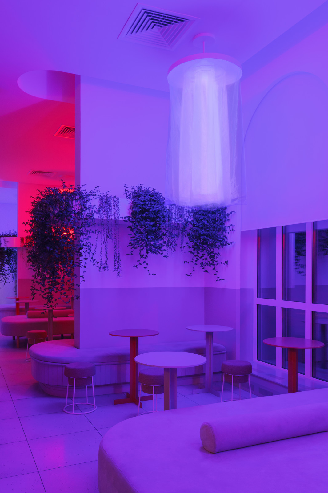 •ZANOZA• open bar .Вечерний световой сценарий.