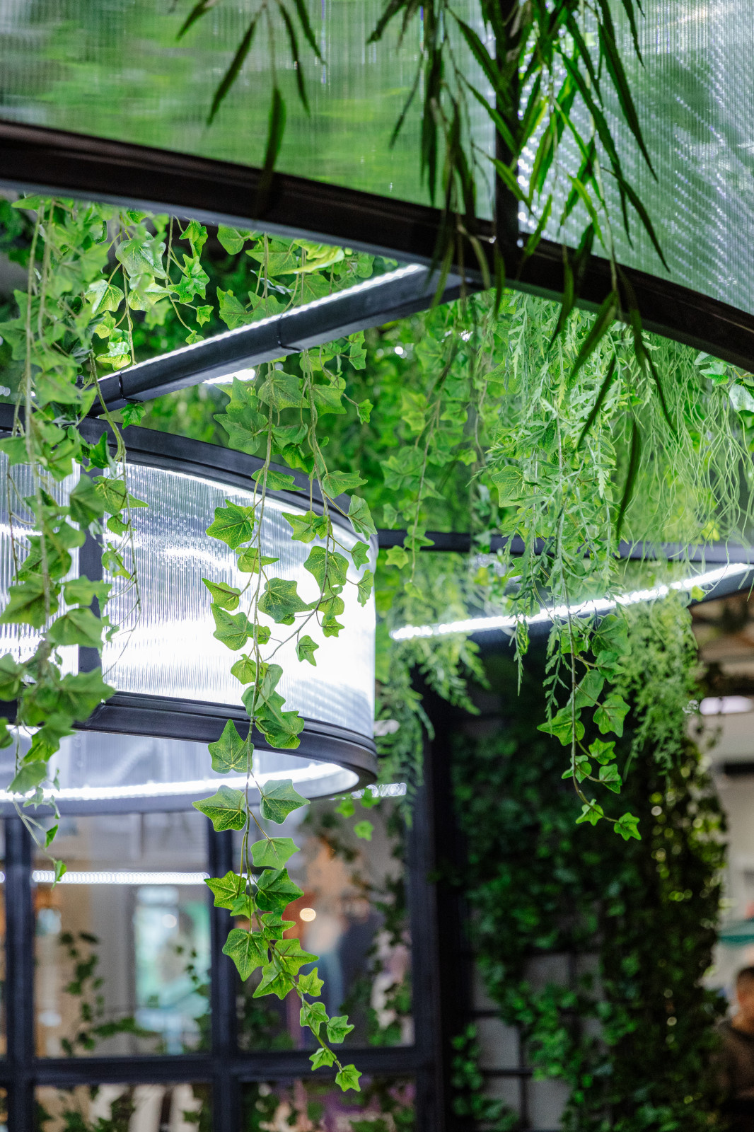 Ресторан Veranda#2