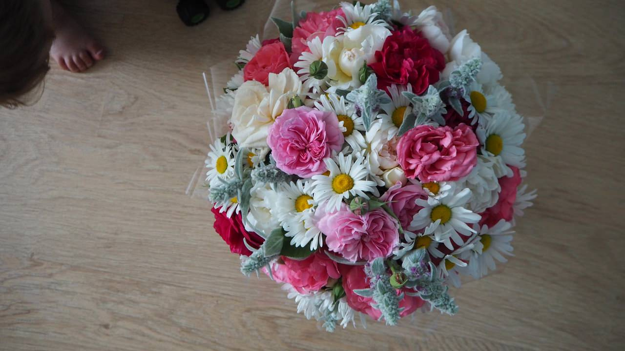 День рождения