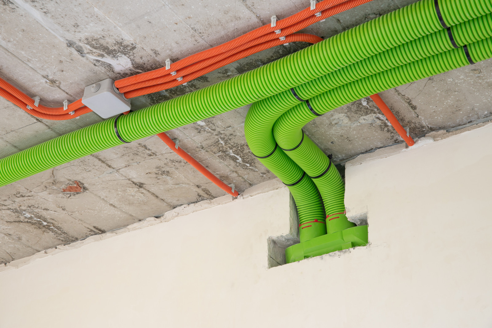 Обложка проекта: Фото Wolf