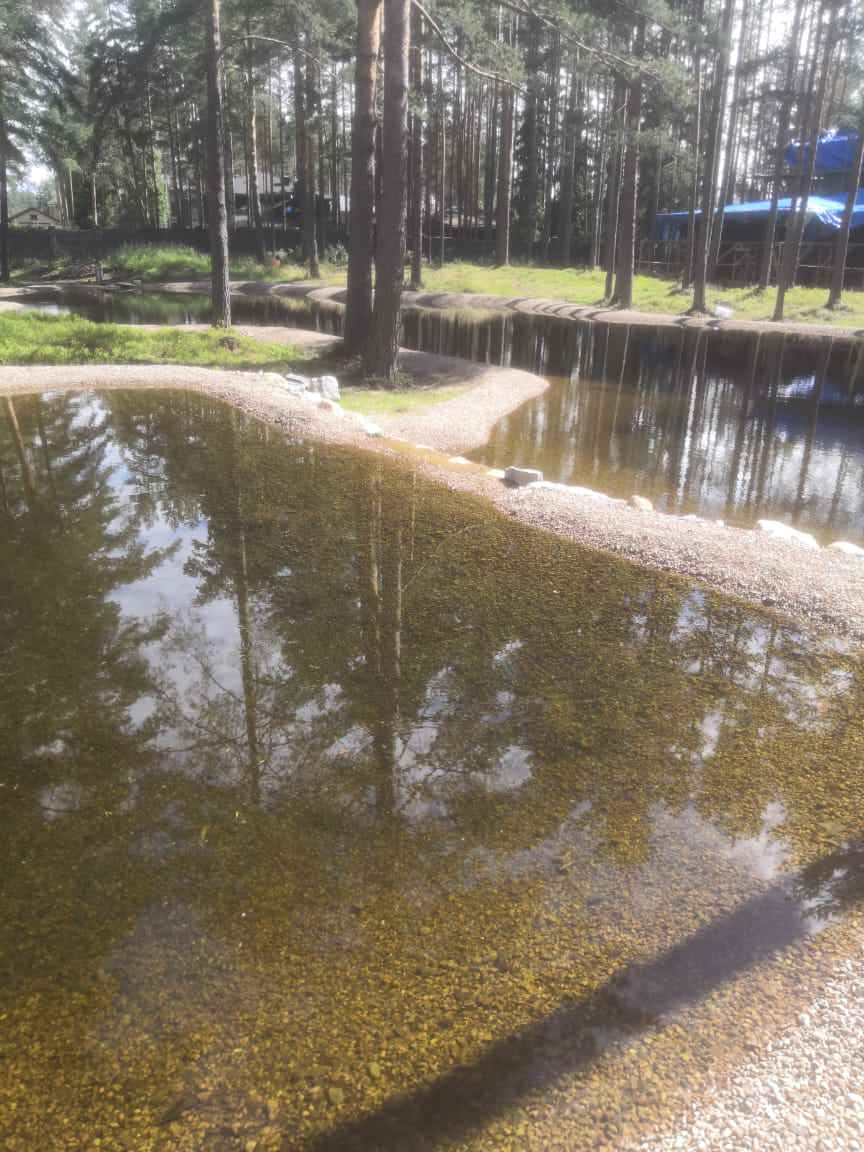 Большой декоративный водоём в кп Охтинский парк