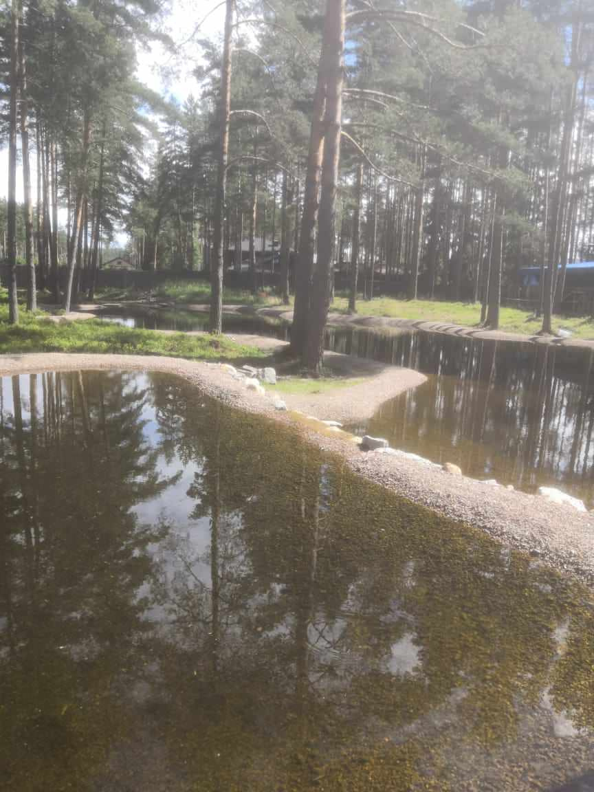 Большой декоративный водоём в кп Охтинский парк