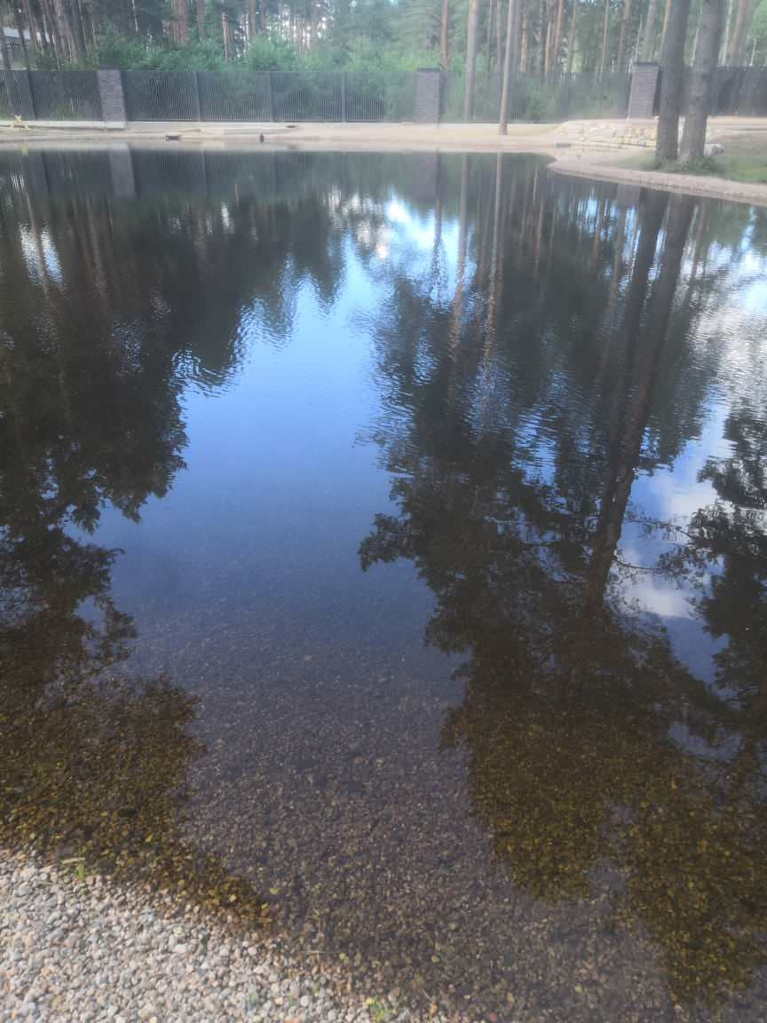 Большой декоративный водоём в кп Охтинский парк