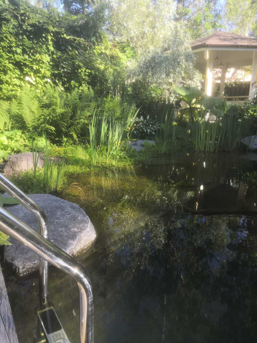 Плавательный водоём в Зеленогорске (Лен. обл.)