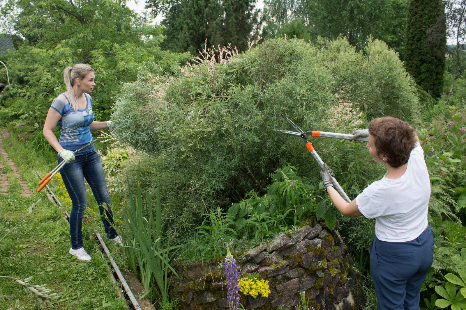 Сад  «Моя цветущая планета».