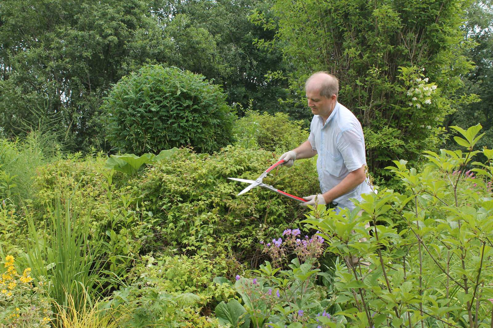 Сад  «Моя цветущая планета».