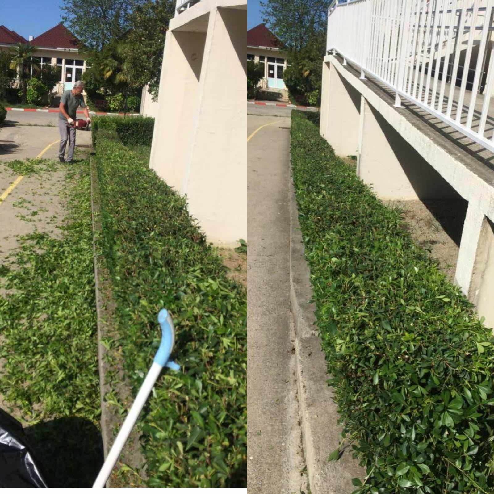 Благоустройство и озеленение