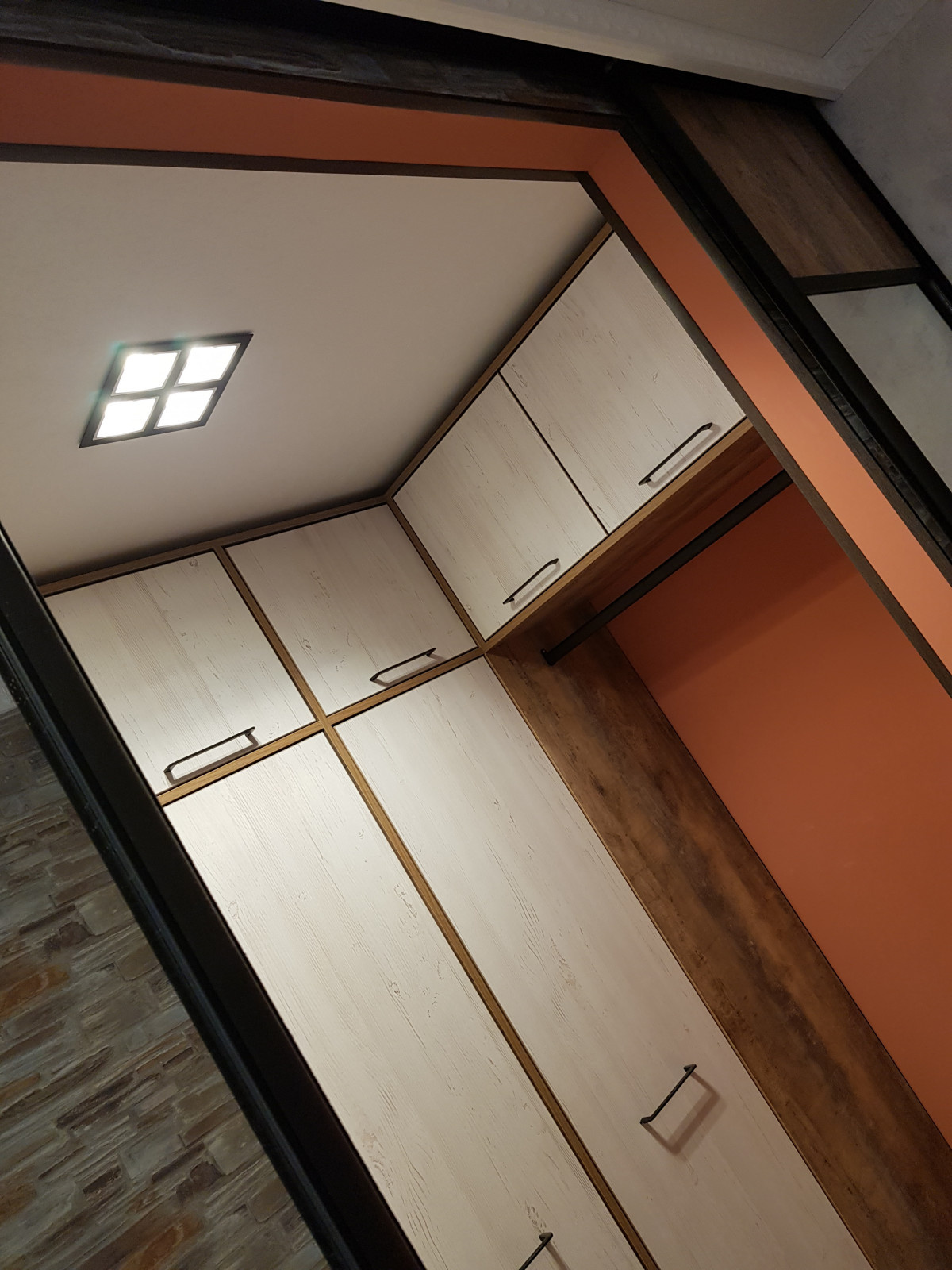 проект квартиры "Дикость_2020" прихожая и гардеробная