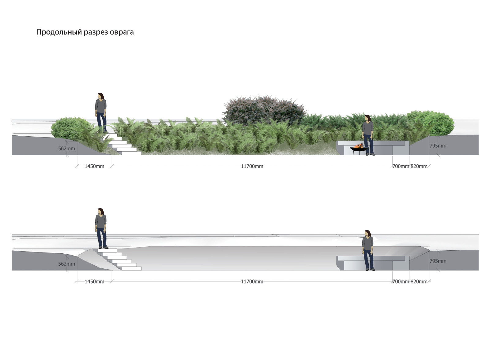 Лесной сад в пригороде